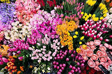 发售短短五天 《鬼玩人：游戏》销量已达到50万